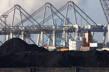 Piles of coal in the port of Rotterdam Netherlands