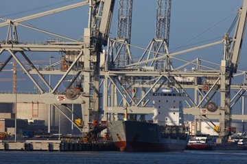 Loading jib cranes at the port of Rotterdam  Netherlands