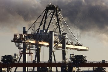 Loading jib cranes at the port of Rotterdam Netherlands