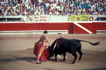 Matador et taureau pendant une corrida Bayonne France