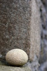 Galet Granit an einer Wandbettbeilage von Frankreich montiert