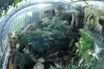 Inside the hot greenhouse of the zoo of Vienna Austria