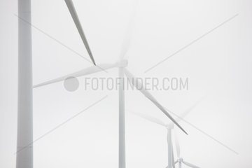 Wind in the fog Castilla y Leon Spain