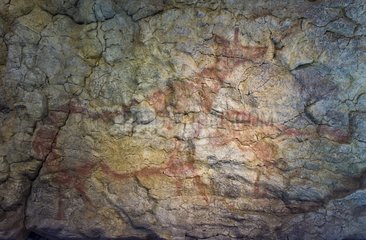Big frieze of rock painting Cave of El Pendo Spain