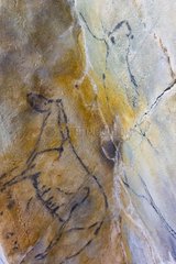 Big frieze of rock painting Cave of Las Monedas Spain