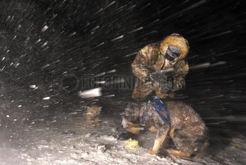 Inuit man feeding his sled dogs Greenland