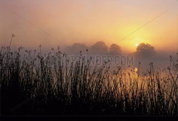 Teich von Lindre in Sunrise Frankreich