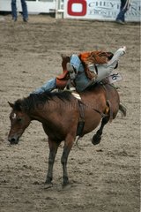 Cheyenne's World-Famous Rodeo Wyoming USA