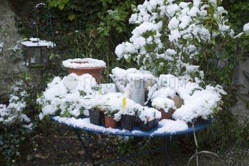 Snow covered pots