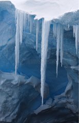 Eisstalaktiten an einem Küstenkapkape aufgehängt