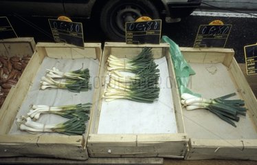 Leeks and onions on the Gers market [AT]