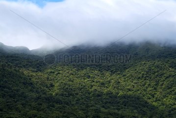 Cloud over the primary forest of Tenorio volcano
