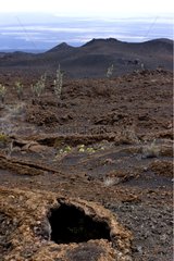 Tunnel in the lava of the Sierra Negra volcano Isabela Island