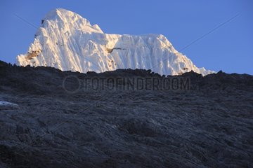 Summit Chacraraju Cordillera Blanca Andes Peru