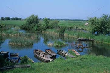 Ruderboote am Tisza-to Lake-Nationalpark von Hortobagy Ungarn