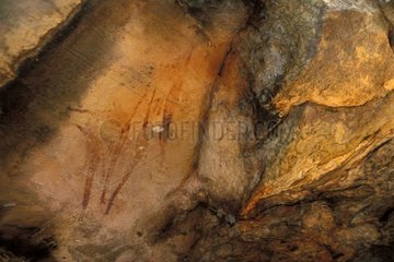 Cave paintings aboriginals of the type bradshaw Australia