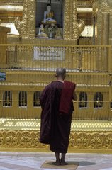 Bhikkhu betet vor einer kleinen Statue von Buddha Burma