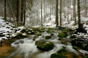 River La Butte in the Swiss Jura in winter