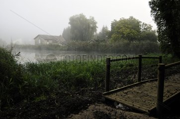 Nebel am Sainte Barbe Teich Frankreich