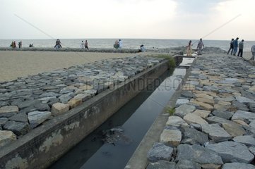 Saatswrm direkt am Strand von Calicut India