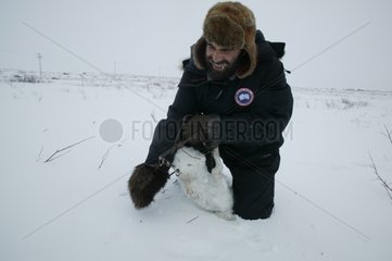 JÃ¤ger verÃ¶ffentlichen eine Falle mit einem gefrorenen arktischen Fuchs Manitoba