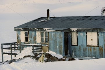 Village Ittoqqorttormii during the polar night Greenland