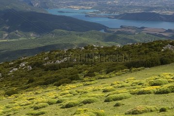 De la Pena Montanesa at Lake Ainsa Aragon in Spain