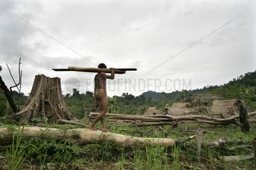 Man carrying trunks cut Tau't Batu Palawan Philippines