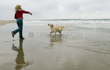 Child and Retriever playing on a beach of the North Sea