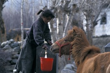 MÃ¤dchen  das Leitungswasser fÃ¼r einen Pferd Mustang Nepal zur VerfÃ¼gung stellt