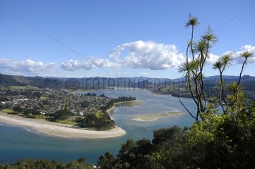 Küstenlandschaft Coromandel Halbinsel Neuseeland