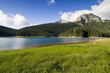 The Black Lake in NP Durmitor in Montenegro