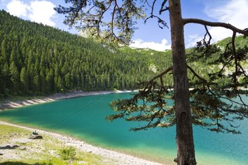 The Black Lake in NP Durmitor in Montenegro