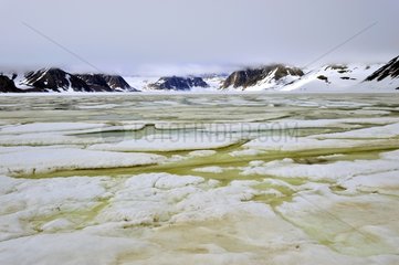 Ice of Kolding Fjord in Greenland