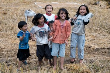 Gruppe von Kindern  die Land des Toraja Sulawesi lachen