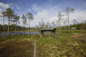 Shelter of observation of bear and other carnivores Finland