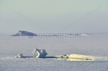 Vejle Fjord of the ice off Cape Hoegh Greenland