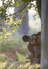 Animal photographer in wait behind a tree