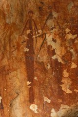Höhlengemälde Aborigines 'Bradshaw' -Typ Kimberley