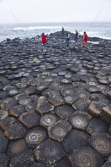 Giant's Causeway in Northern Irland