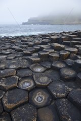 Giant's Causeway in Northern Irland