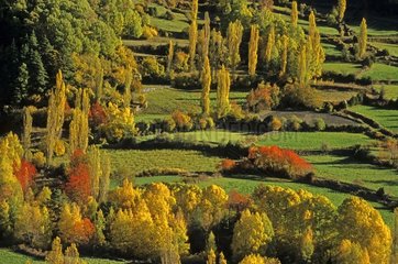 Val de Tena in autumn near sallent
