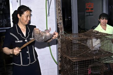 Animal used in the restauration in China