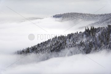 Sea of clouds over the valley of Munster Vosges France