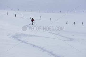 Snowshoeing in Petit-Ballon Vosges France