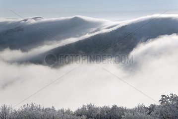Mist on the Vosges in Winter view Kastelberg France
