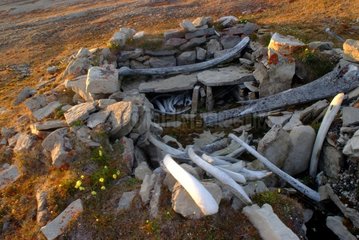 Ruin of Paleo-Eskimo house Canada Bathurst Island