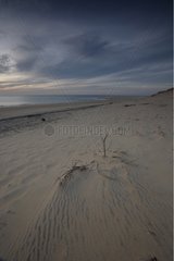 Coastal dune at twilight on the Arvert Peninsula France
