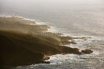 WindmÃ¼hlen an einer KÃ¼ste mit den Wind Teneriffa Canary Islands