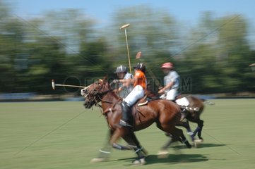 Polo players and horses runing in competition